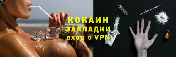 кокс Алексин