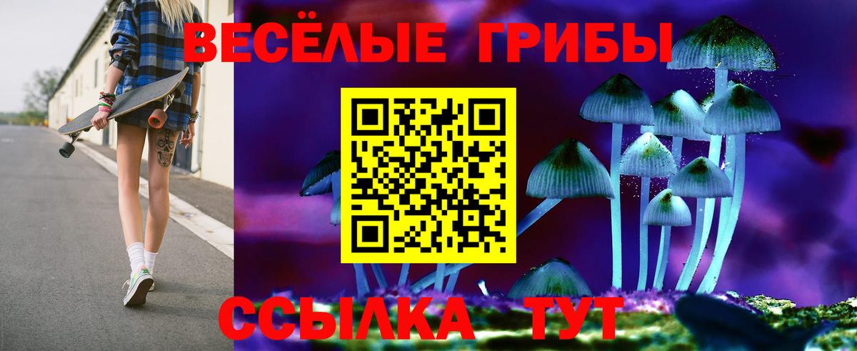 Анапа  Галлюциногенные грибы Psilocybe  купить  сайты  Вход с VPN 