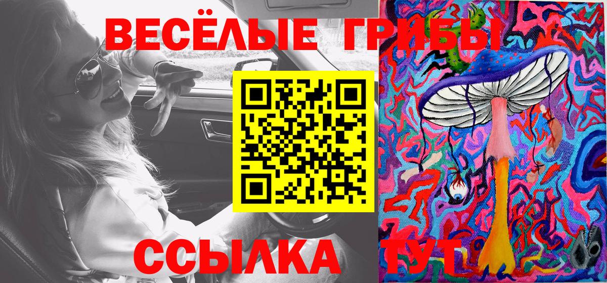 Галлюциногенные грибы Psilocybe Анапа